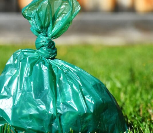 Basic Tips To Carry A Dog Waste Bag